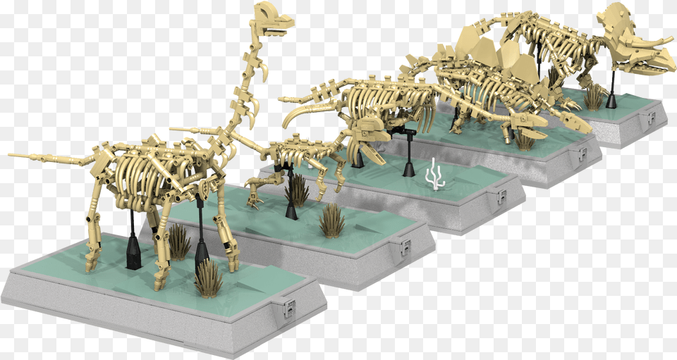 Lego Dinosaur Skeleton Sets, Animal, Reptile, Baby, Person Png