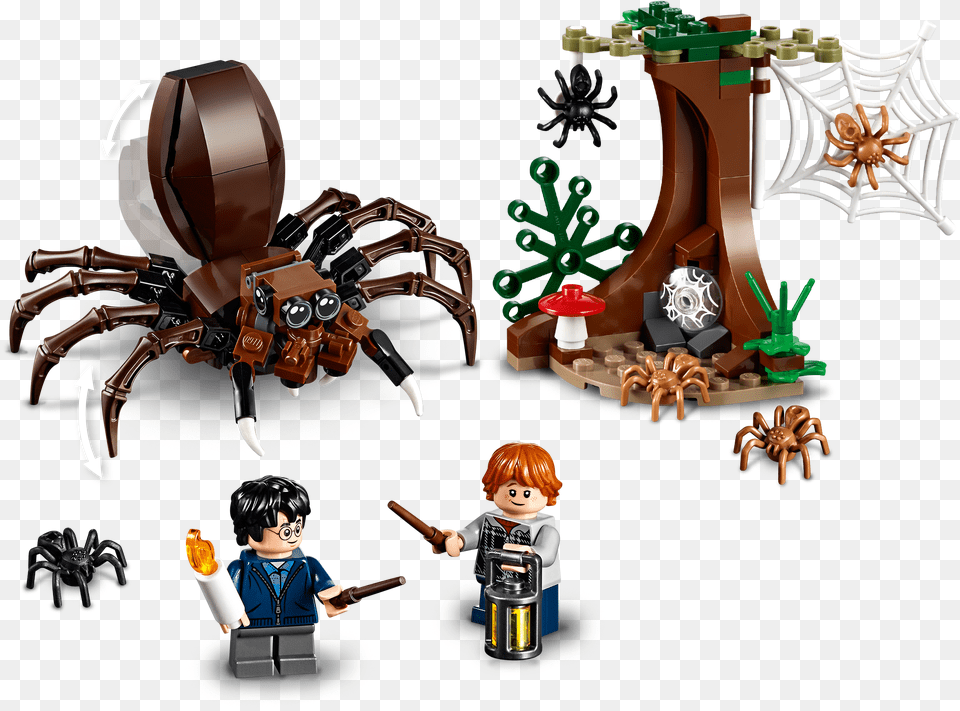 Lego Harry Potter Spider, Baby, Person, Animal, Invertebrate Free Png