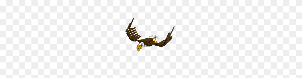Lego Ideas, Animal, Bird, Flying, Eagle Png Image