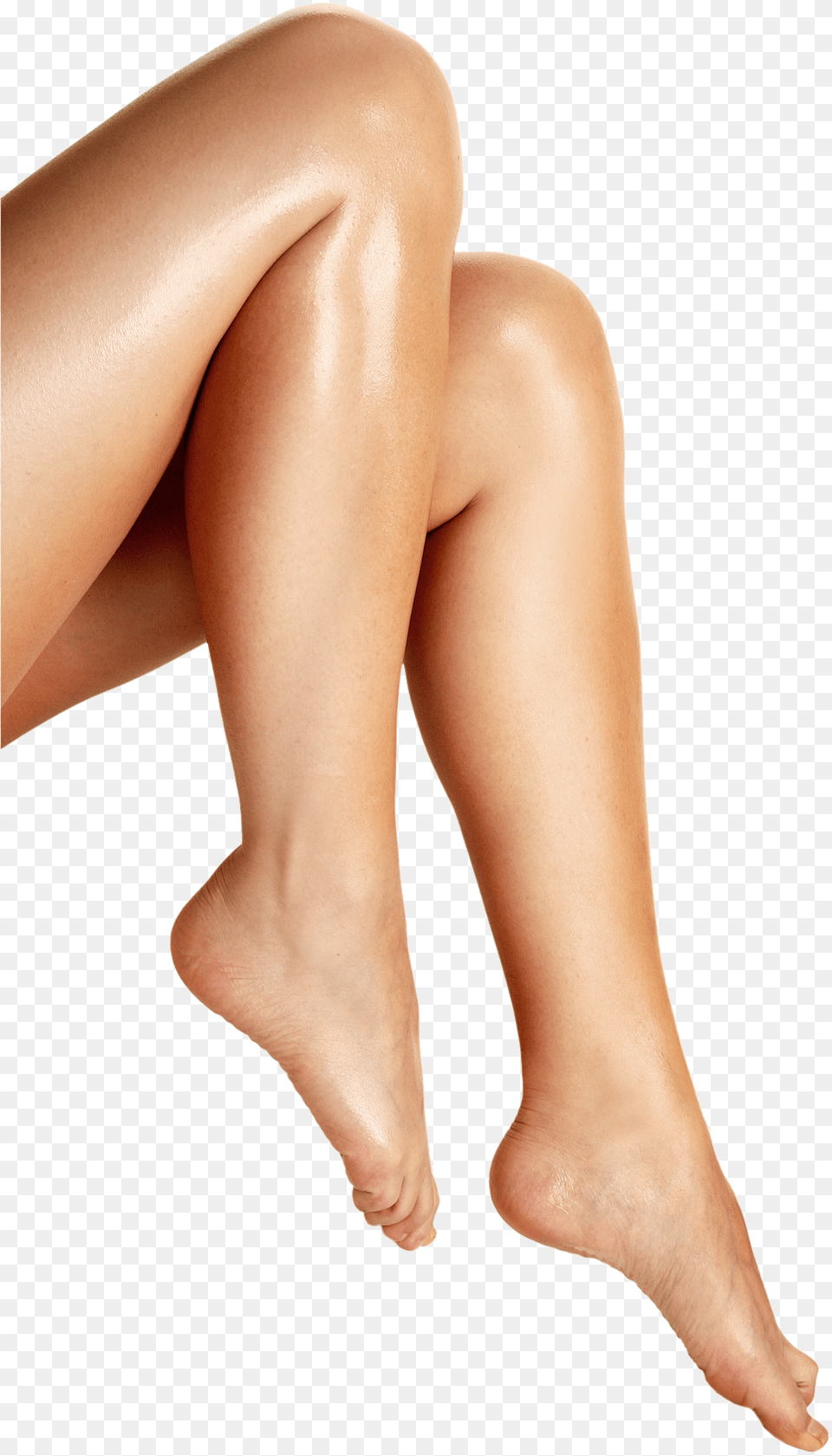 Legs, Adult, Female, Person, Woman Free Png Download