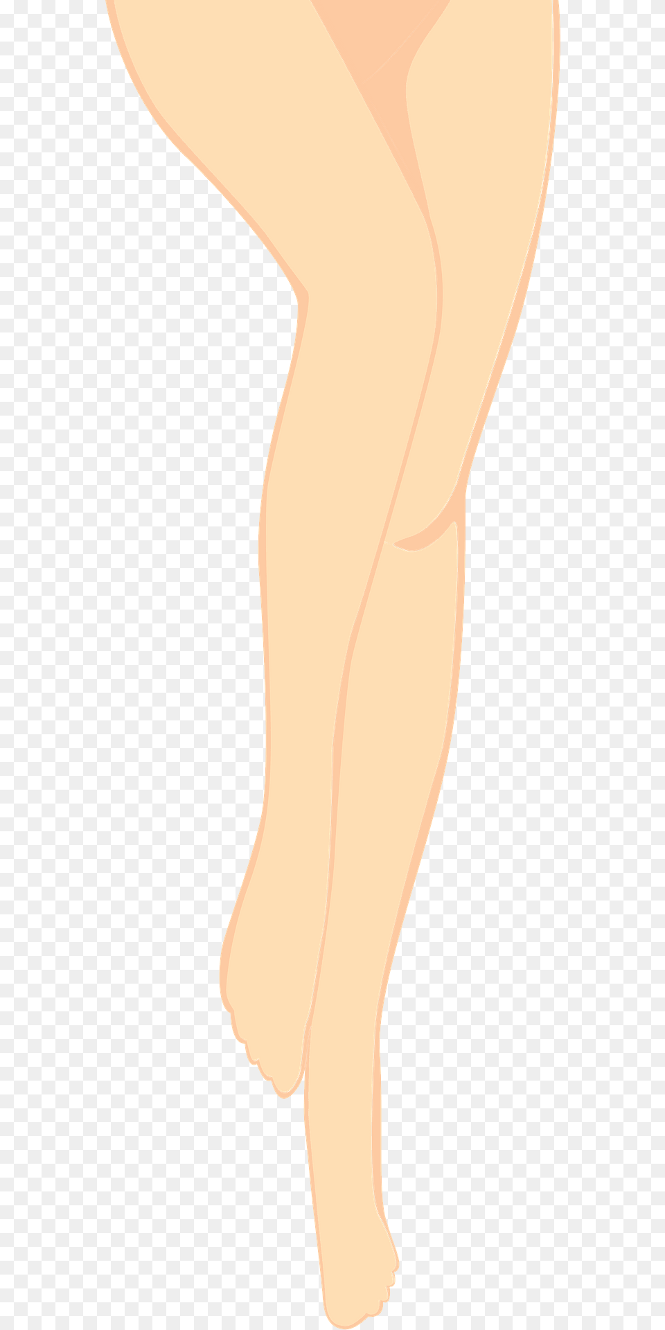 Legs Clipart, Person, Skin, Barefoot Free Png