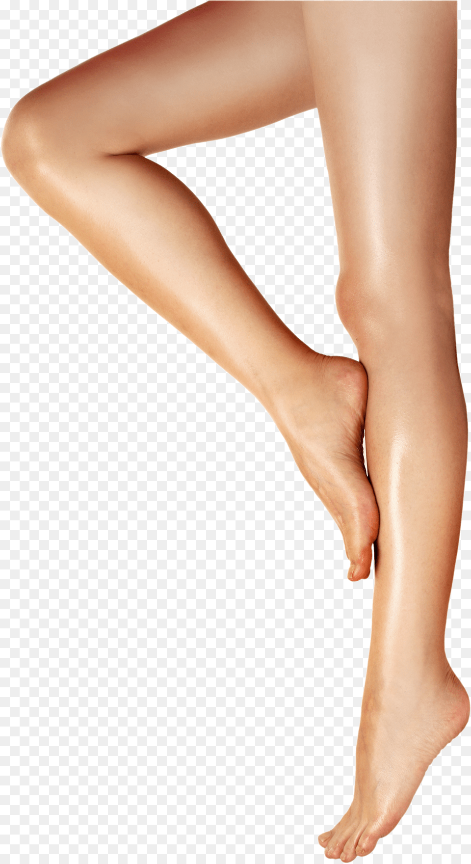 Legs Image Legs, Adult, Female, Person, Woman Free Png Download
