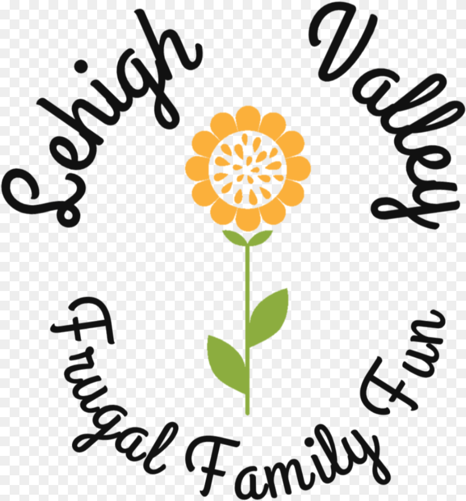 Lehigh Valley Frugal Family Fun Sunflower, Flower, Plant, Anther, Petal Free Png Download