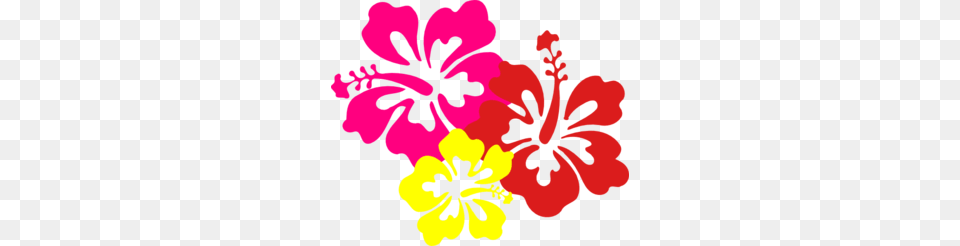 Lei Clip Art, Flower, Hibiscus, Plant, Person Png Image