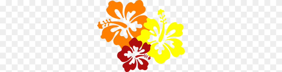 Lei Clip Art, Flower, Hibiscus, Plant, Person Png Image
