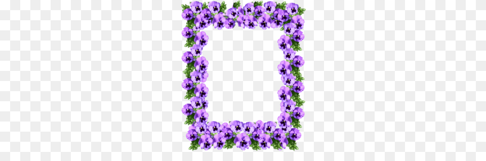 Lei Clipart, Flower, Geranium, Plant, Purple Png Image