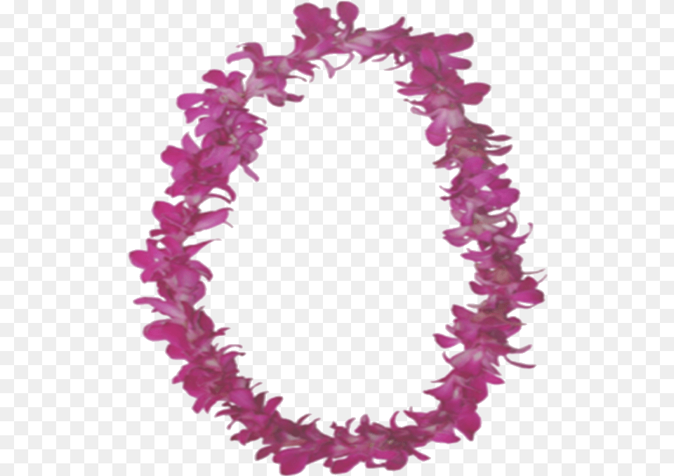 Lei Hawaii Lei, Accessories, Flower, Flower Arrangement, Ornament Png Image