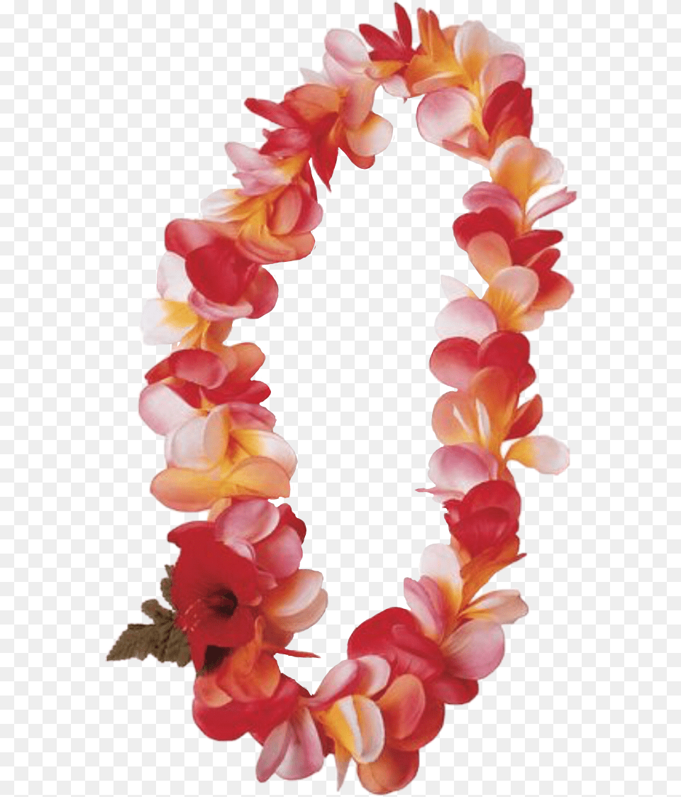 Lei Traditionallei Hawaii Sticker Newvikstar Freetoedit Hawaiian Lei Clipart, Accessories, Flower, Flower Arrangement, Ornament Free Png Download