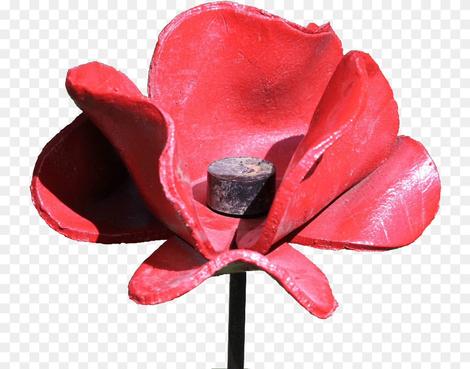 Leicester Frederick Struben Blood Swept Lands And Seas Of Red, Clothing, Flower, Hat, Plant Free Transparent Png