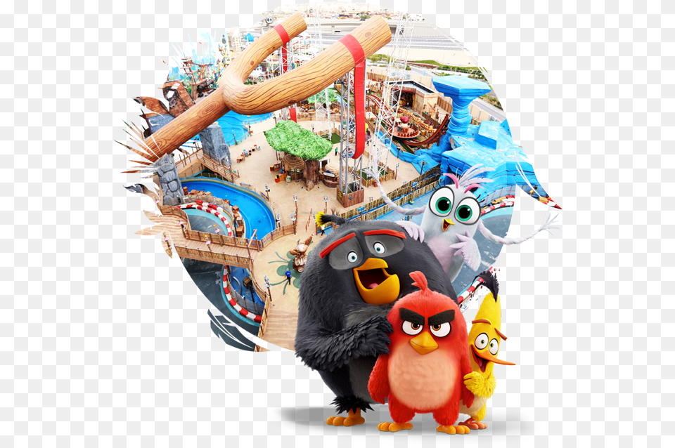 Leisure U2014 Loyalty And Reward Programme Angry Birds Outside On Qatar, Toy, Water, Amusement Park Free Png