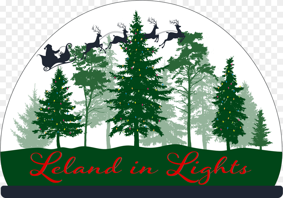 Leland In Lights Featuring Tree Lighting Town Of Pine Forest Vector, Plant, Fir, Animal, Mammal Png