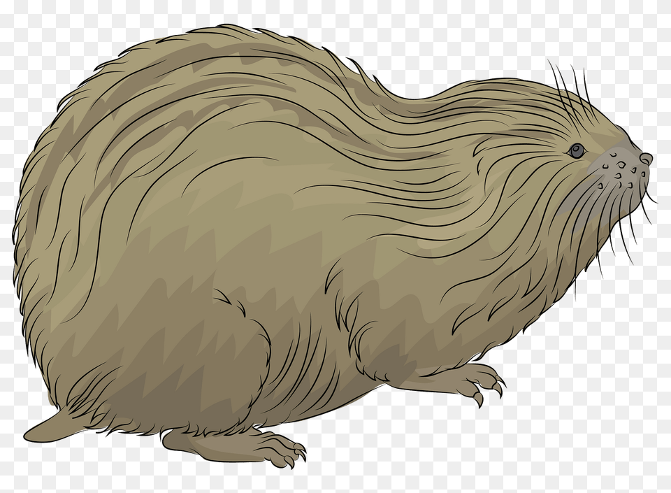 Lemming Clipart, Animal, Mammal, Rodent, Beaver Free Png Download