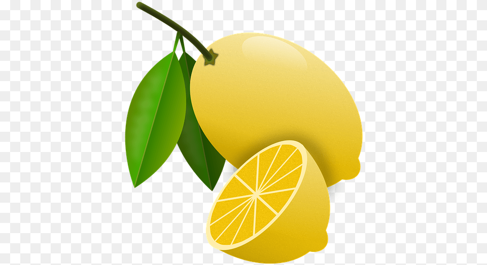 Lemon, Citrus Fruit, Produce, Plant, Fruit Free Transparent Png