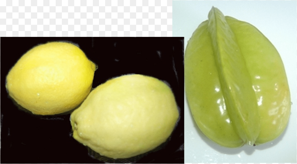Lemon, Plant, Citrus Fruit, Food, Fruit Png