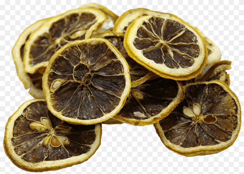 Lemon Citrus Fruit, Food, Fruit, Plant Png