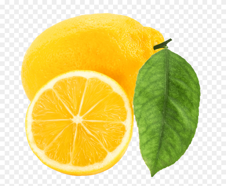 Lemon, Citrus Fruit, Food, Fruit, Plant Free Transparent Png