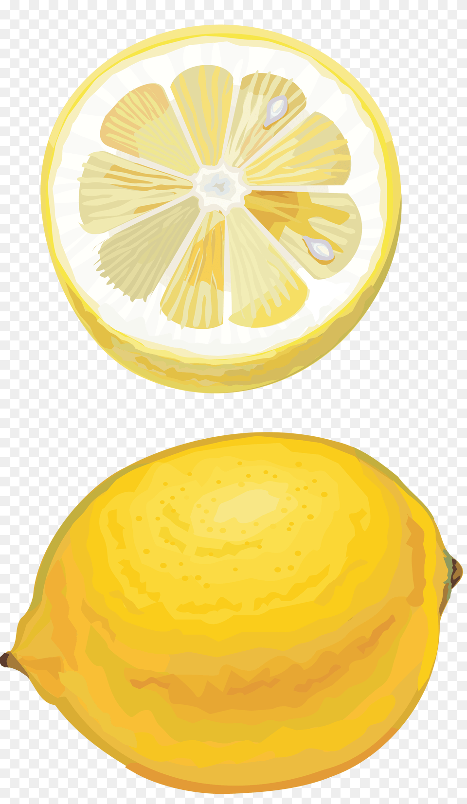 Lemon, Citrus Fruit, Food, Fruit, Plant Free Png