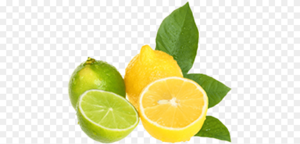 Lemon And Limes Clipart, Citrus Fruit, Food, Fruit, Lime Free Png
