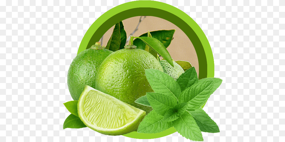 Lemon And Mint 2 Image Fresh Lime, Citrus Fruit, Food, Fruit, Plant Free Png