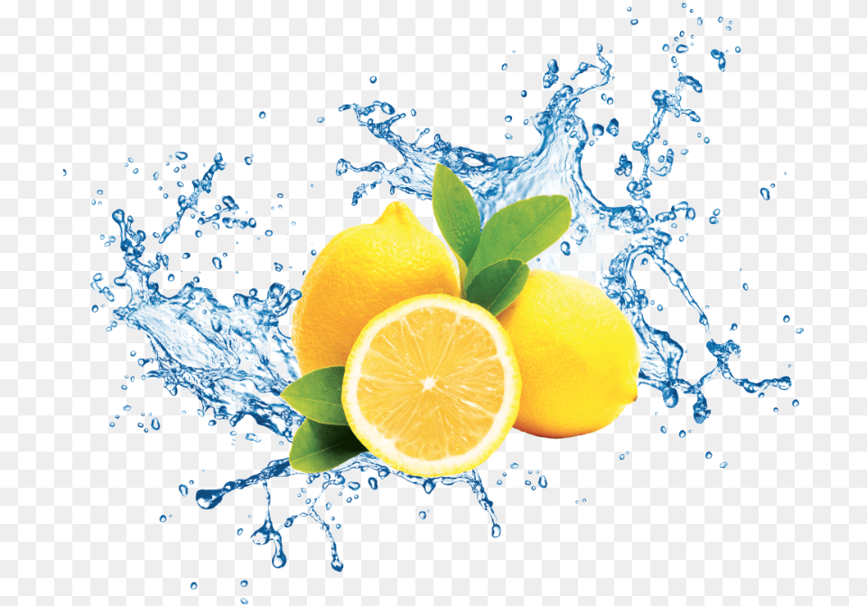 Lemon And Water, Citrus Fruit, Food, Fruit, Plant Free Png Download