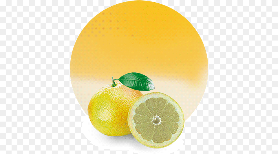 Lemon And White Grapefruit Look Alike, Citrus Fruit, Food, Fruit, Plant Png