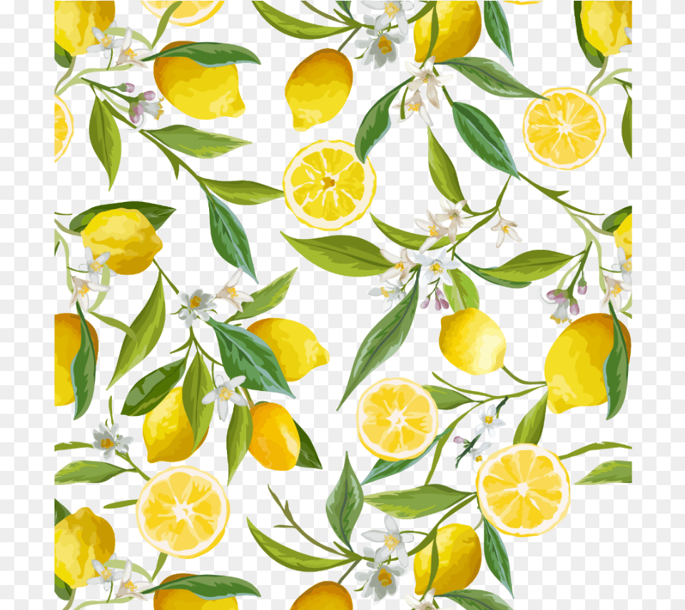 Lemon Background Hd Wallpaper, Citrus Fruit, Food, Fruit, Plant Free Png