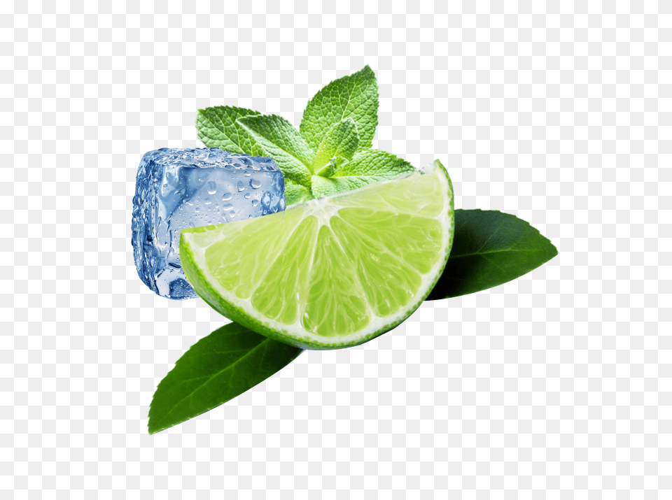 Lemon Background Mojito, Produce, Plant, Citrus Fruit, Lime Free Transparent Png