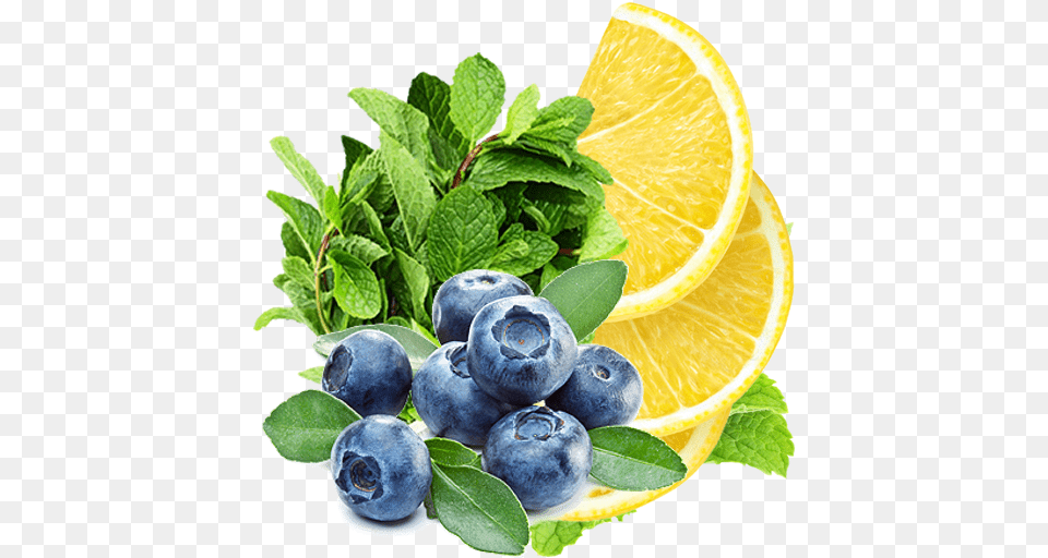 Lemon Blueberry And Mint Recipe Blueberry Background, Berry, Plant, Produce, Fruit Free Transparent Png