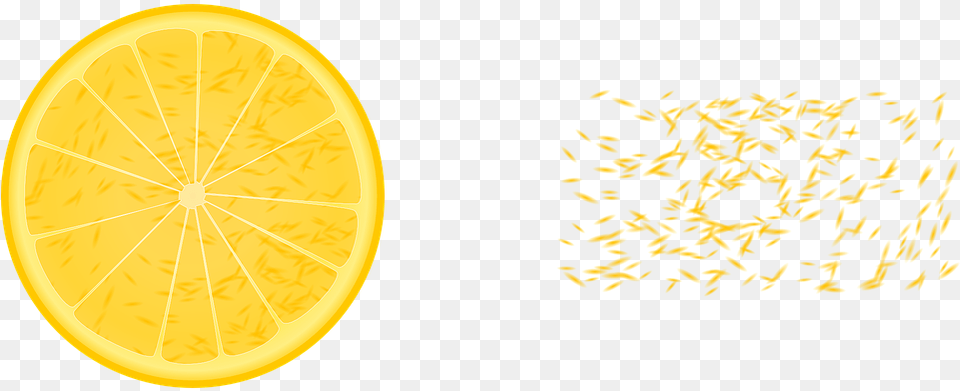 Lemon Citron Citrus Vector Graphic On Pixabay Valencia Orange, Citrus Fruit, Food, Fruit, Plant Free Png Download