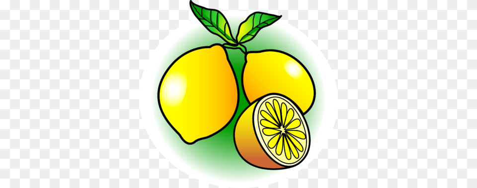 Lemon Clip Art, Citrus Fruit, Food, Fruit, Plant Free Png Download