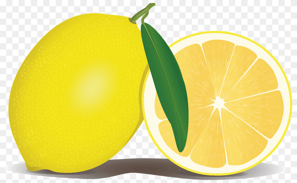 Lemon Clipart, Citrus Fruit, Food, Fruit, Plant Png