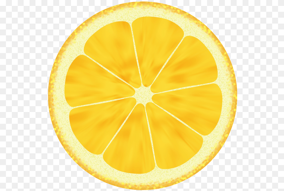 Lemon Drawing Clip Art Others Download Lemon Slice Drawing, Citrus Fruit, Food, Fruit, Produce Png Image