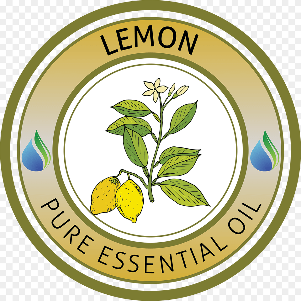 Lemon Essential Oil, Citrus Fruit, Food, Fruit, Leaf Free Transparent Png