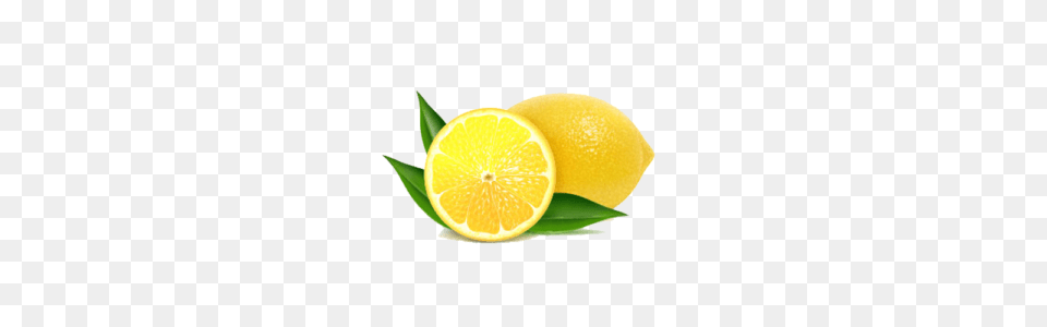 Lemon Eucalyptus, Citrus Fruit, Food, Fruit, Orange Free Png