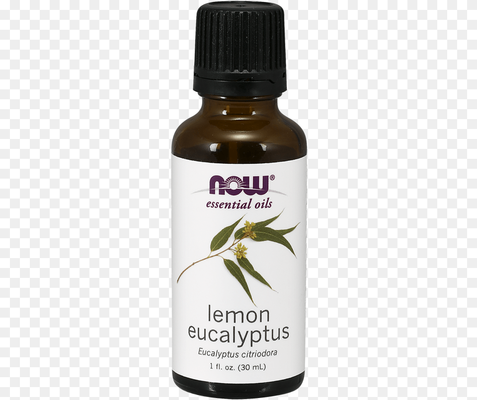 Lemon Eucalyptus Oil Now Essential Oils, Herbal, Herbs, Plant, Bottle Png