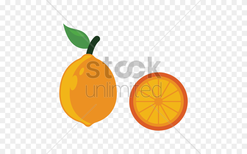 Lemon Fruit Vector Image, Citrus Fruit, Food, Orange, Plant Free Png