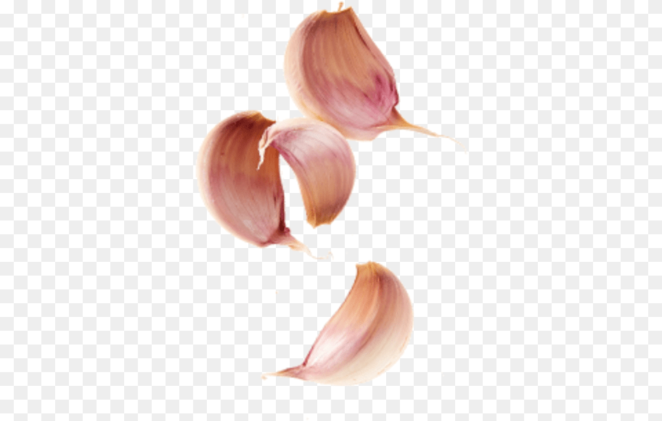 Lemon Garlic Lovely, Food, Produce, Animal, Fish Png