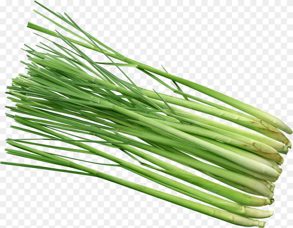 Lemon Grass Hd Free Png Download