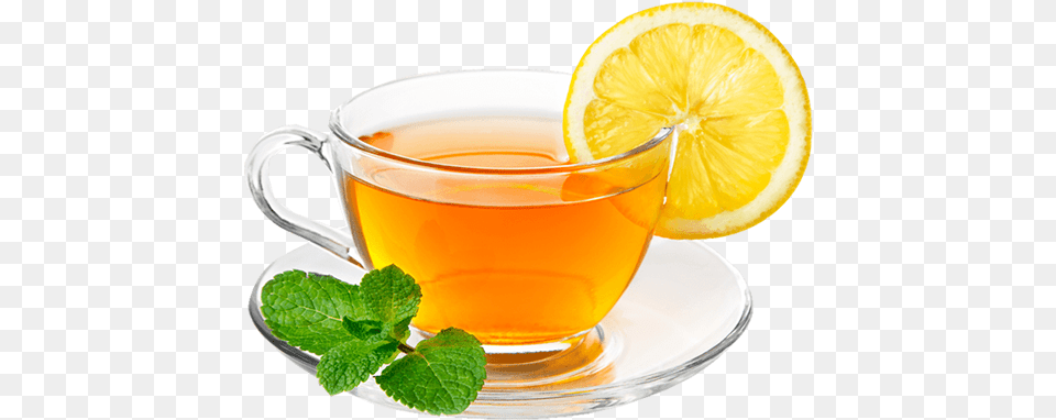 Lemon Green Tea, Plant, Mint, Herbs, Beverage Png Image