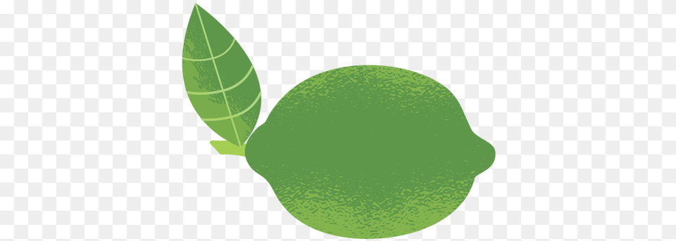 Lemon Illustration Texture U0026 Svg Vector File Tree, Citrus Fruit, Food, Fruit, Leaf Free Png