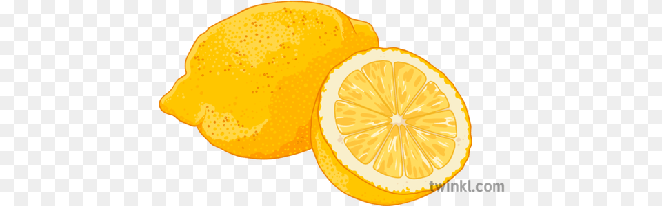 Lemon Illustration Twinkl Bitter Orange, Citrus Fruit, Food, Fruit, Plant Png Image