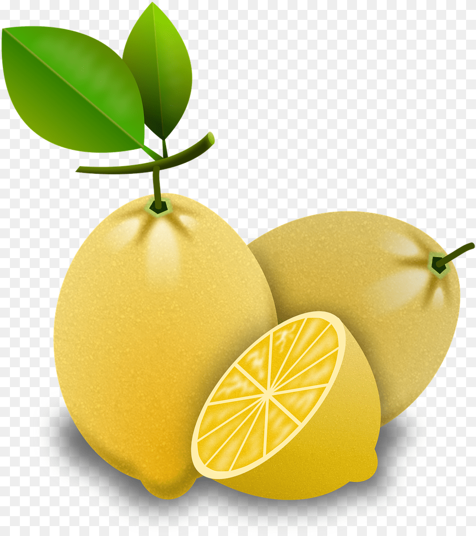 Lemon Image Citroenen, Citrus Fruit, Food, Fruit, Plant Png