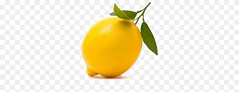 Lemon Image Transparent 14 Weeks Pregnant Size Of Baby, Citrus Fruit, Food, Fruit, Plant Png