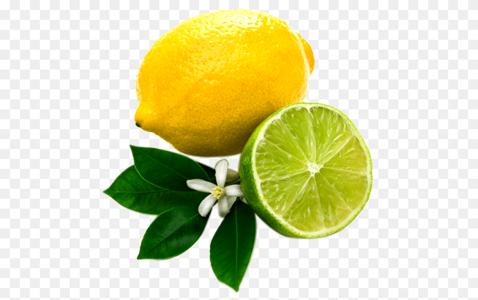 Lemon Images And Clipart Transparent, Citrus Fruit, Food, Fruit, Lime Free Png Download