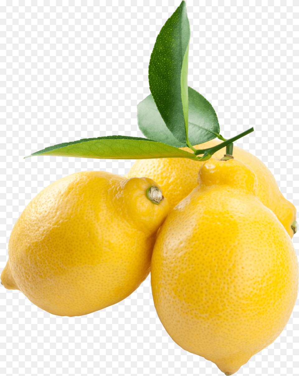 Lemon In High Resolution Lemon Transparent Background Transparent Fruit Png Image