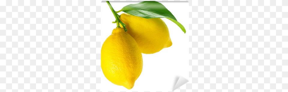 Lemon Isolated On White Painting, Citrus Fruit, Food, Fruit, Plant Free Png