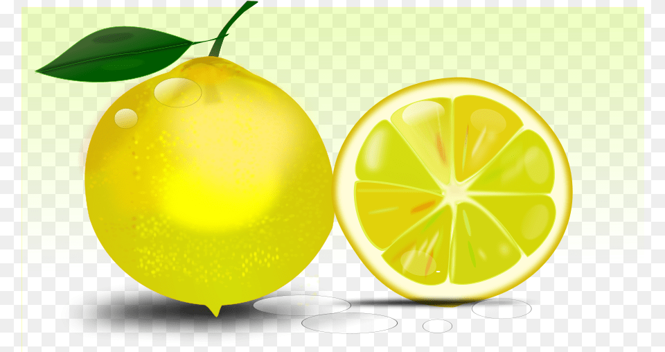 Lemon Large Size, Citrus Fruit, Food, Fruit, Plant Png