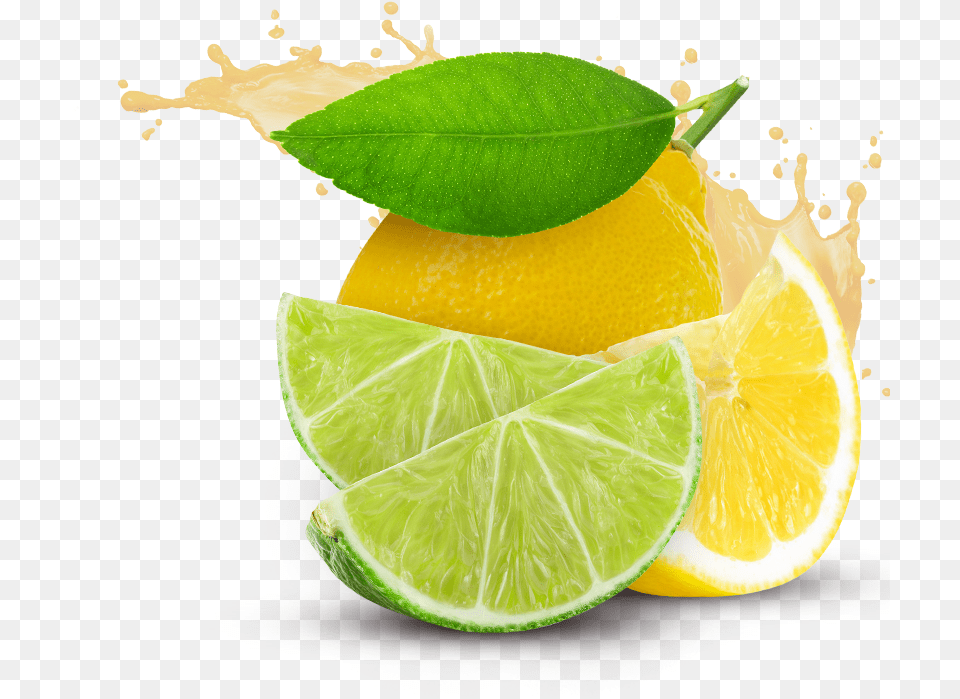 Lemon Lemon And Lime, Citrus Fruit, Food, Fruit, Plant Free Png