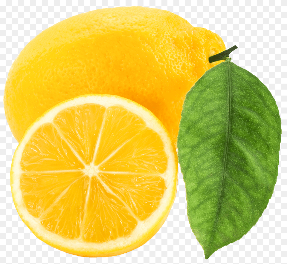 Lemon Lemon Clipart, Citrus Fruit, Food, Fruit, Plant Png Image