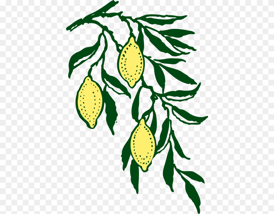 Lemon Line Form Art Citrus Computer Icons, Green, Leaf, Plant, Tree Png